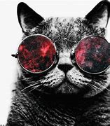 Image result for Cat with Sunglasses Galaxy