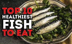 Image result for 10 Best Fish to Eat