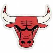 Image result for NBA Bulls Vector
