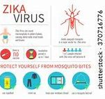 Image result for What Does Zika Virus Look Like