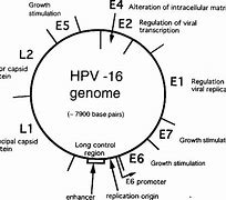 Image result for Human Papillomavirus Face