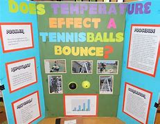 Image result for Science Fair Projects