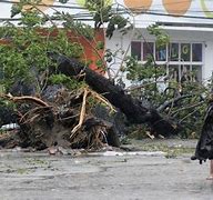 Image result for 195 Mph Super Typhoon Haiyan