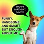 Image result for Funny Birthday Baby Memes