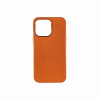 Image result for The iPhone 13 Case