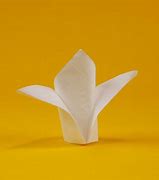 Image result for Art of Napkin Folding