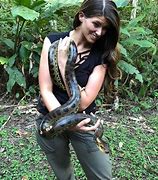 Image result for women anacondas facts