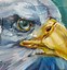 Image result for Eagle Perched Artwork