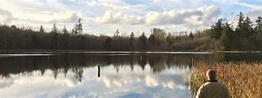 Image result for Buck Lake County Park