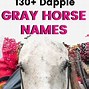 Image result for Horse Name Ideas