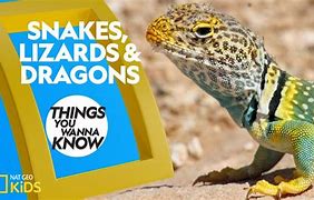 Image result for Snake Lizard Dragon