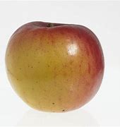 Image result for Jonathan Apples