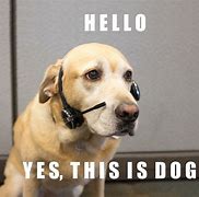 Image result for Dog On the Phone Yes No Animated