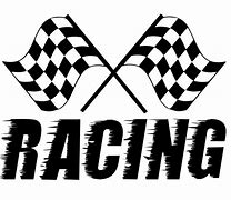 Image result for Different Flags in Racing