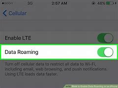 Image result for Enable Data Roaming iPhone