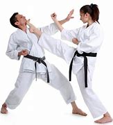 Image result for All Karate Kicks