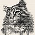 Image result for Retro Black Cat Clip Art