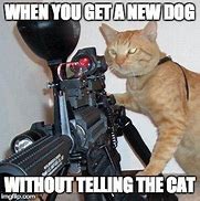 Image result for Savage Cat Meme