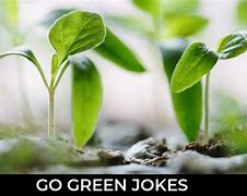 Image result for Jokes About Green Juice