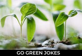 Image result for Funny Life Jokes