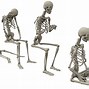 Image result for Skeleton Sit