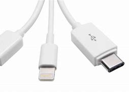 Image result for Type CVS Lightning Mico USB