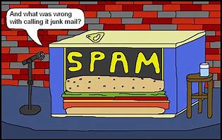 Image result for Funny Spam Cartoon