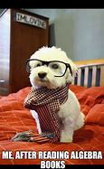 Image result for Inteligent Dog Meme