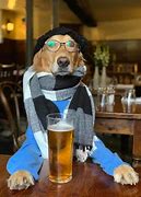 Image result for Funniest Dog Costumes
