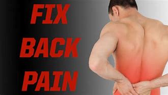 Image result for How to Fix Back Pain