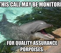 Image result for Quality Assurance Calls Meme