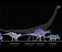 Image result for Size Comparison Chart