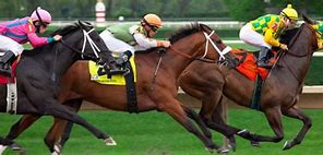 Image result for Recent Horse Racing Books