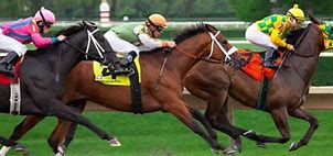 Image result for Horse Racing Anime