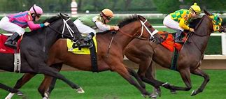 Image result for Richard Kingscote Horse Racing Tattoos