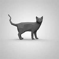 Image result for Cat Noir 3D Box