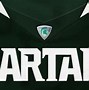 Image result for MSU Memes