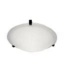Image result for Lithonia Ceiling Light Model 3902Re Replacement Parts