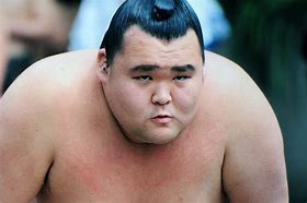 Image result for Sumo Wrestler Hair