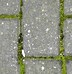 Image result for Block Tiles Texture