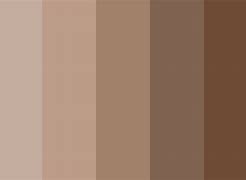 Image result for Warna Coklat