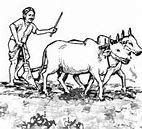 Image result for Farmer Tamil Wikipedia