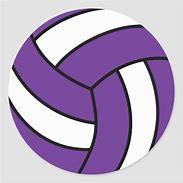 Image result for Purple Volleyball
