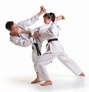 Image result for Traditional Martial Arts