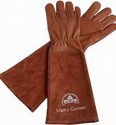 Image result for Leather Rose Gardening Gloves