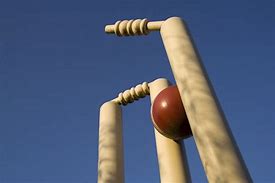 Image result for Tiny Cricket Stumps Funny