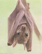 Image result for Bat Painting Realistic