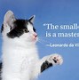 Image result for Cat Quotes About Life