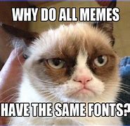 Image result for Grumpy Cat Memes Funny