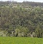 Image result for Srbija Valjevo